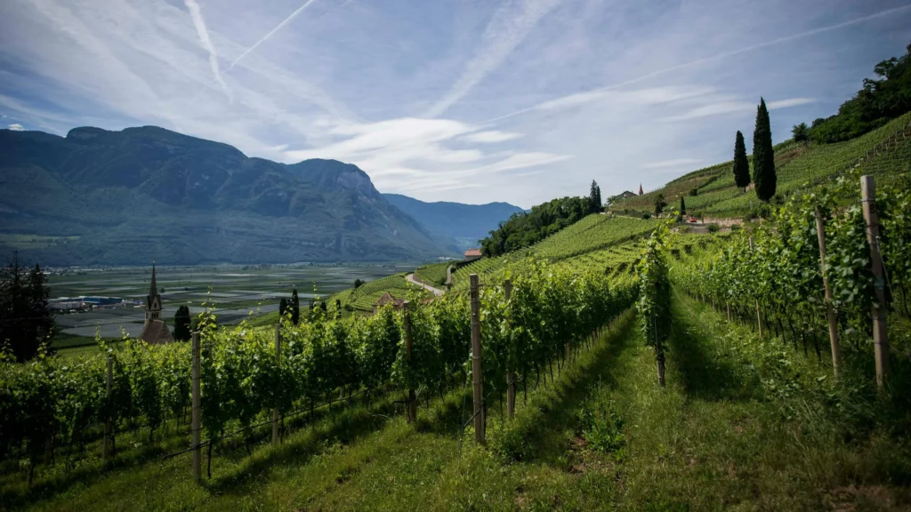 Italy Elective Residence Visa