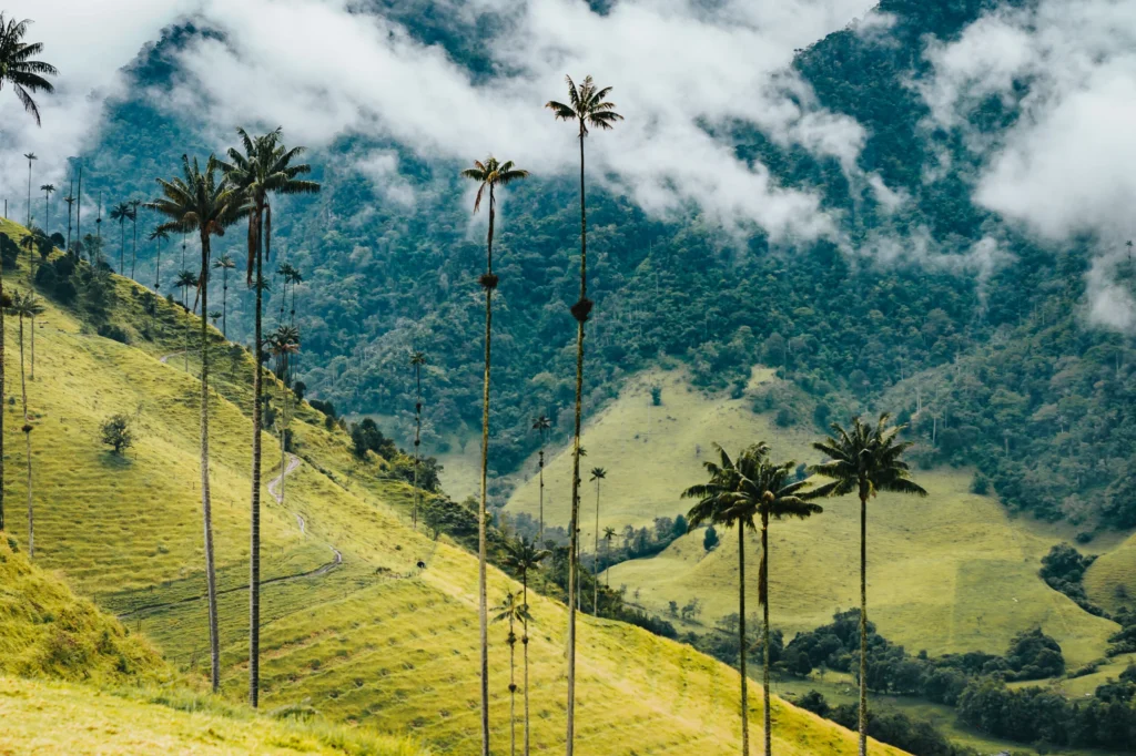 Colombia Digital Nomad Visa