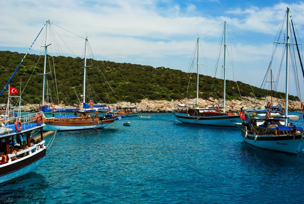 Healthcare in Turkiye