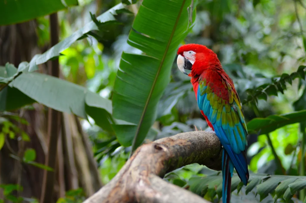 Retirees in Colombia