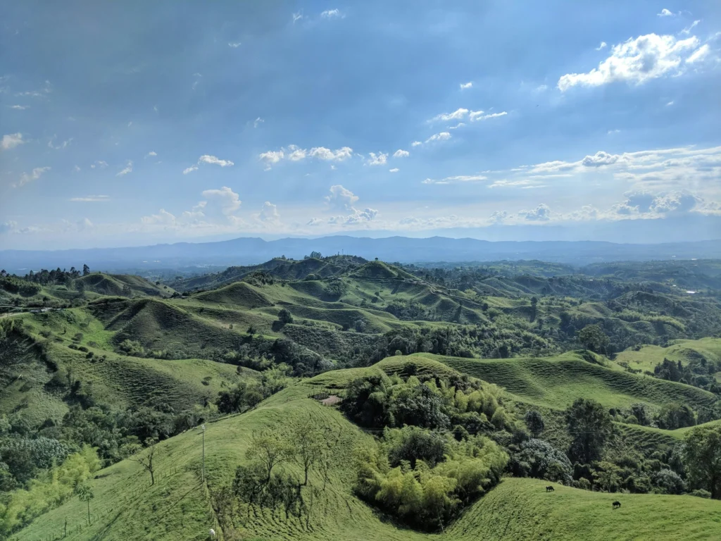 Colombian living