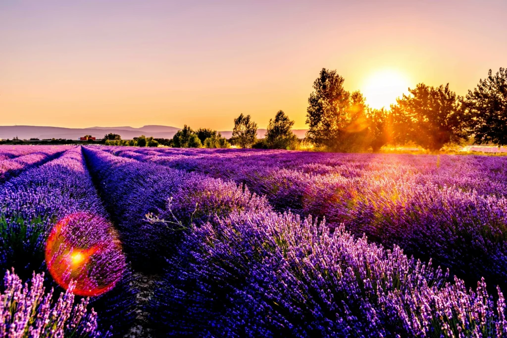 Retire to French Riviera